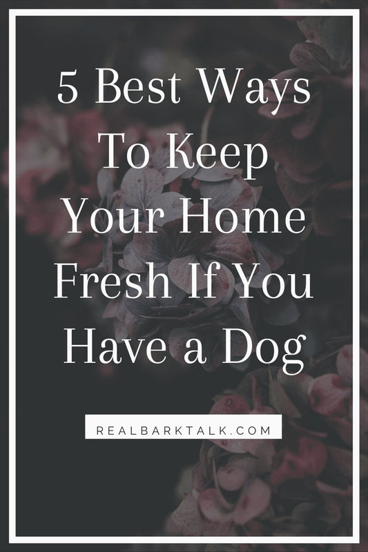 5 Best Ways To Keep Your Home Smelling Fresh if you Have a Dog - Pooch La La