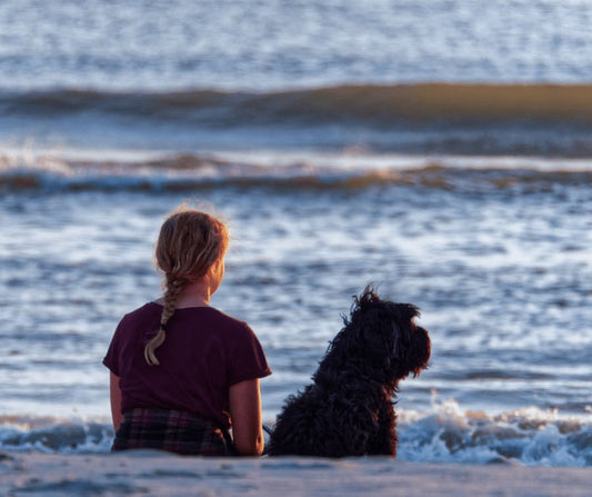 Emotional Support Dogs: More Than Your Best Friend - Pooch La La