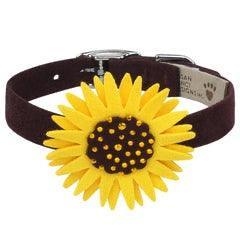 High-end Designer Sunflower 1/2" Dog Collar - Pooch La La