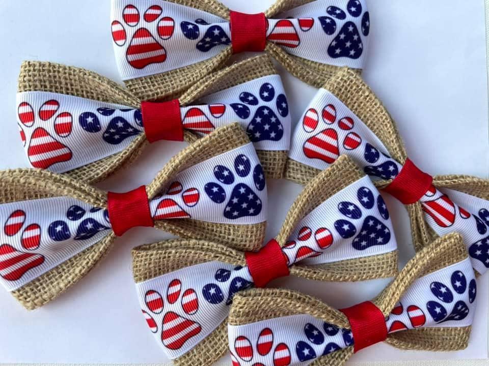 Patriotic Paw Print Dog Tie - Pooch La La