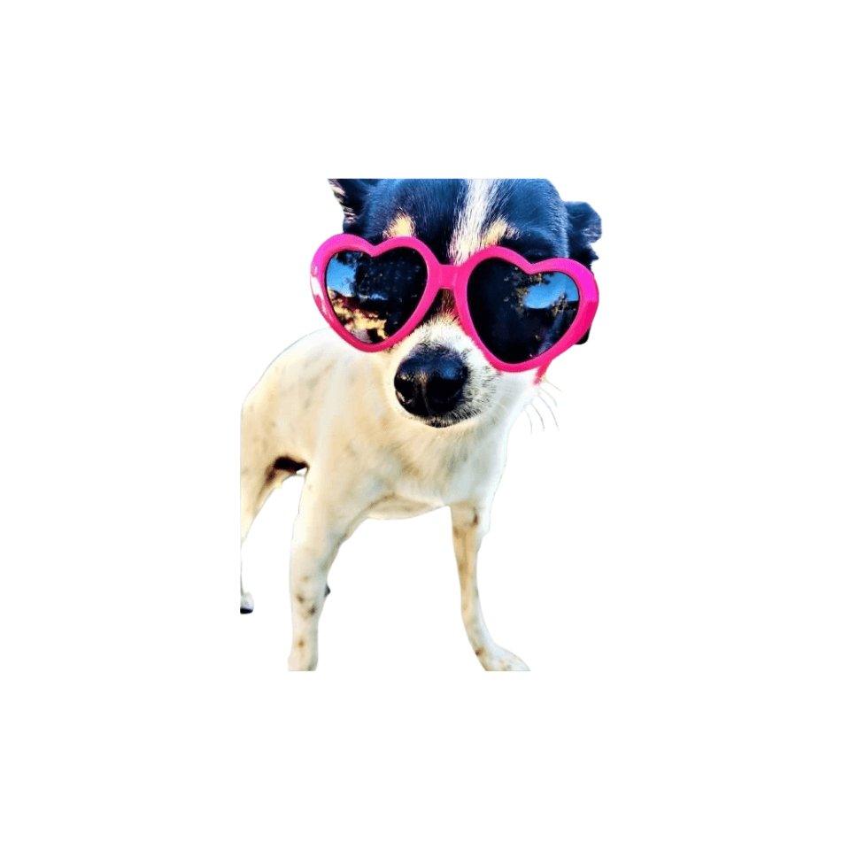 Heart Sunglasses - Pooch La La